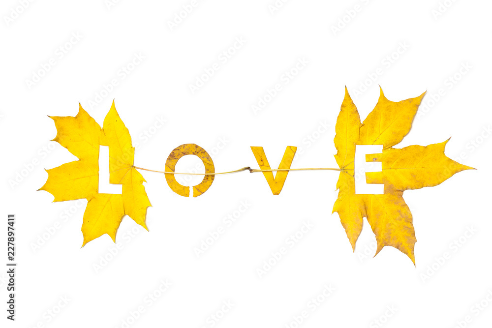 Autumn. Letters carved from wedge leaves Autumn. Letters carved from wedge leaves