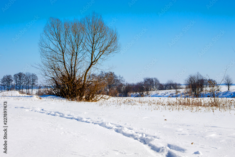 Winter landscape. The road in the field is trodden in the snow_ Winter landscape. The road in the field is trodden in the snow_