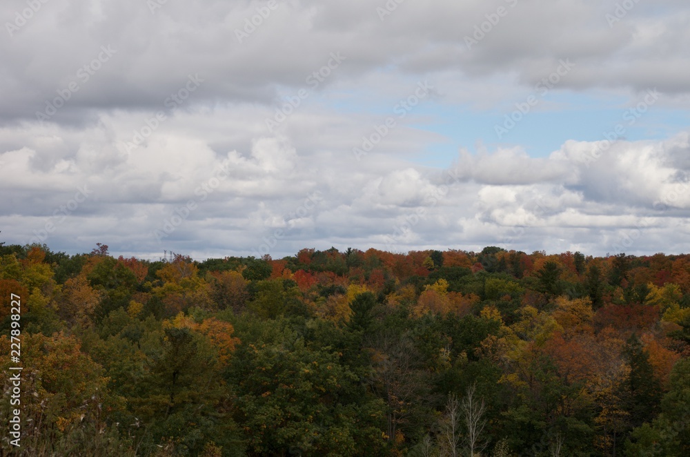 The beautiful Rouge Park in autumn