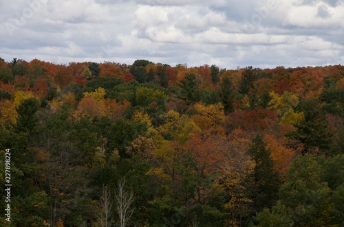The beautiful Rouge Park in autumn
