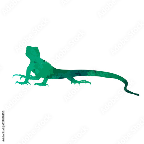  isolated watercolor silhouette of iguana © Dzmitry