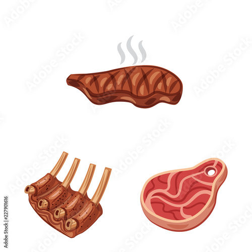 Vector illustration of meat and ham sign. Set of meat and cooking stock symbol for web. photo