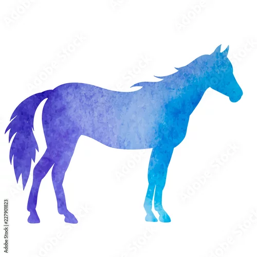 Obraz sylwetka konia stojącego