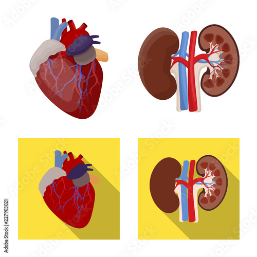 Isolated object of body and human sign. Collection of body and medical stock symbol for web.