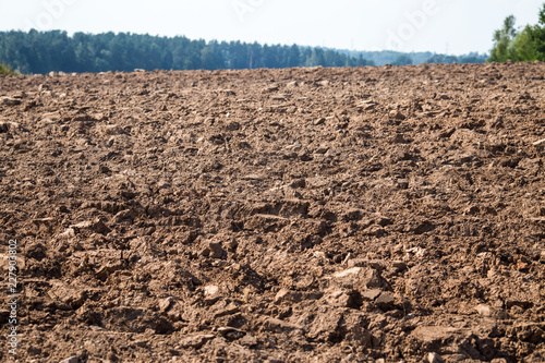 Plowed field with tractor traces in spring time, farm soil background, sown cereals. Selective focus