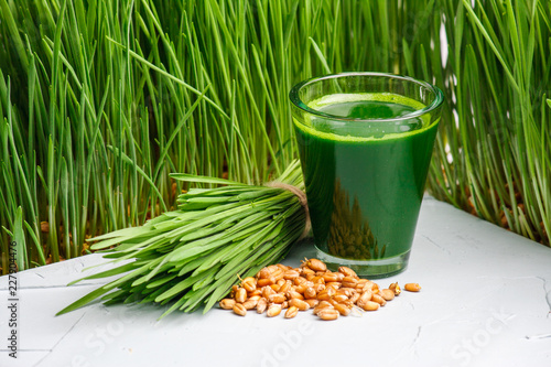 Wheatgrass shot. Juice from wheat grass. Trend of health. wheat grass photo