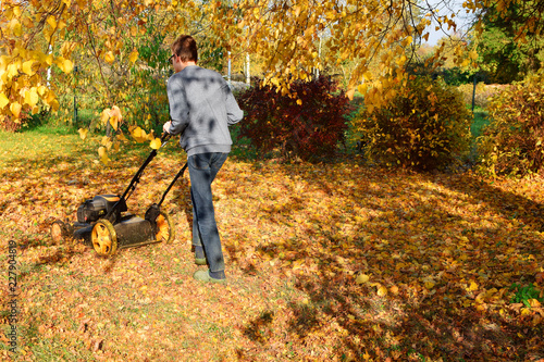 Teen boy mowing lawn grass and yellow fall leaves in yard with lawnmower decorative plants on background in autumn day. Children helping in seasonal garden work concept. photo