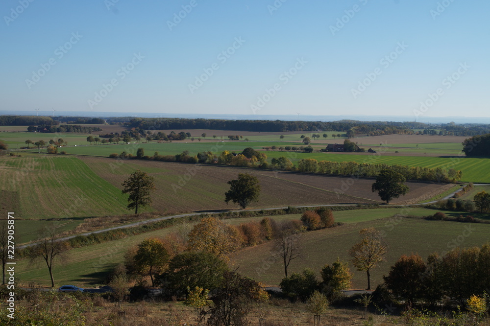 Fototapeta premium Foto