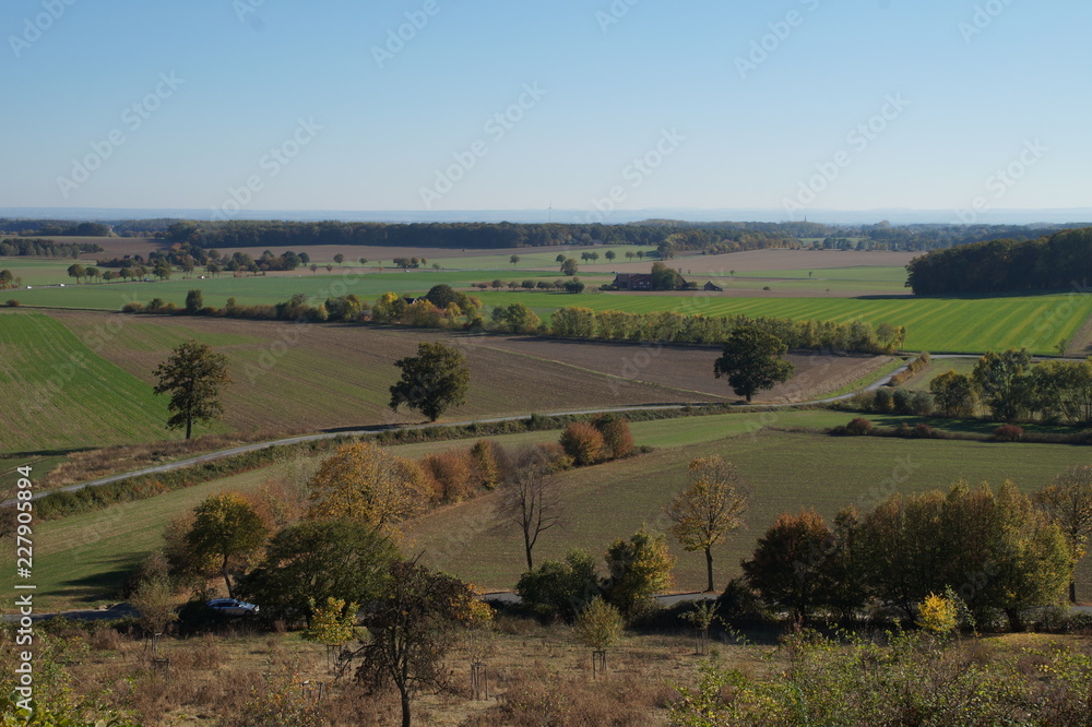 Fototapeta premium Foto
