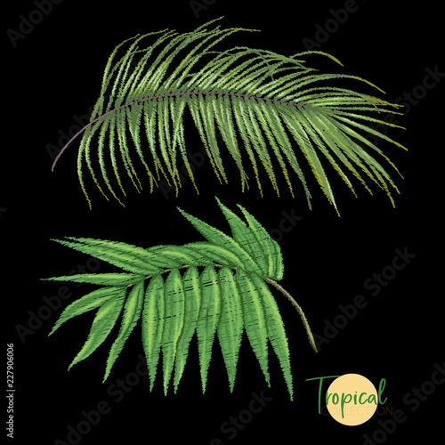 Set of elements for design with tropical plants