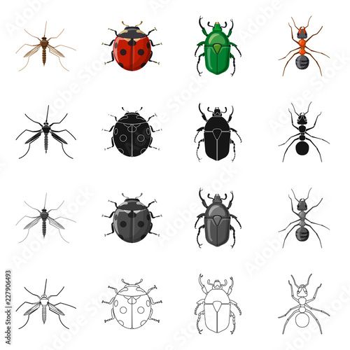 Vector illustration of insect and fly sign. Collection of insect and element vector icon for stock.