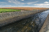 Irrigation canal in an irrigation area in Micereces de Tera in Zamora (Spain)
