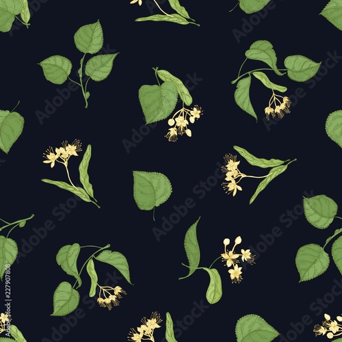 Floral seamless pattern with linden leaves and inflorescences on black backgr...