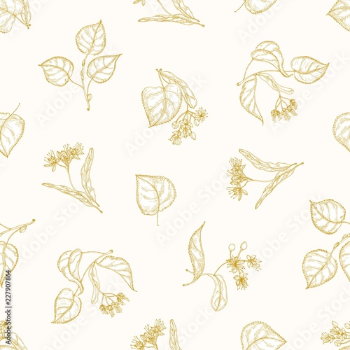 Monochrome seamless pattern with linden leaves and inflorescences hand drawn with contour lines on light background. Elegant vector illustration in antique style for fabric print, wrapping paper.