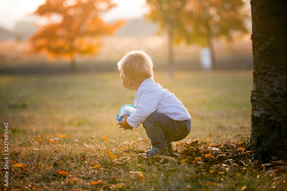 Little toddler boy, eat dry fruits from a smart snack box with silicon top in a park Little toddler boy, eat dry fruits from a smart snack box with silicon top in a park