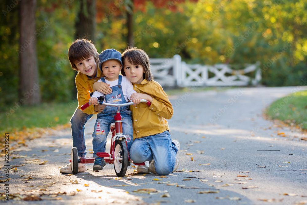 Sweet toddler boy, riding tricycle in the park on sunset, autumn time Sweet toddler boy, riding tricycle in the park on sunset, autumn time