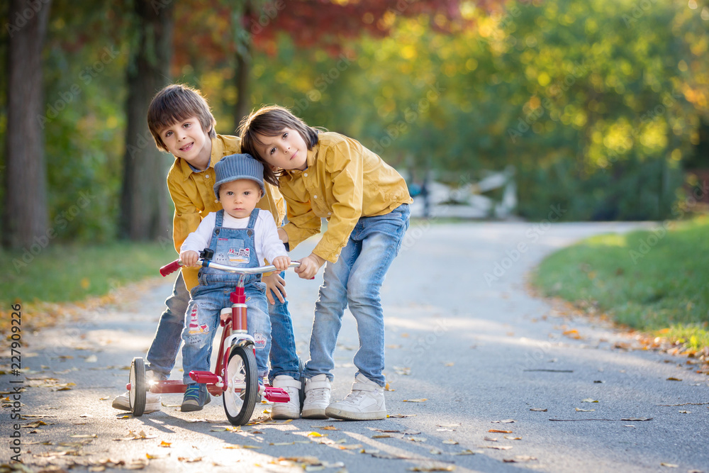 Sweet toddler boy, riding tricycle in the park on sunset, autumn time Sweet toddler boy, riding tricycle in the park on sunset, autumn time