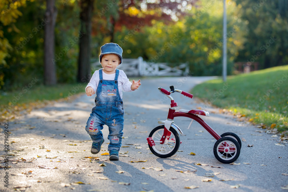 Sweet toddler boy, riding tricycle in the park on sunset, autumn time Sweet toddler boy, riding tricycle in the park on sunset, autumn time