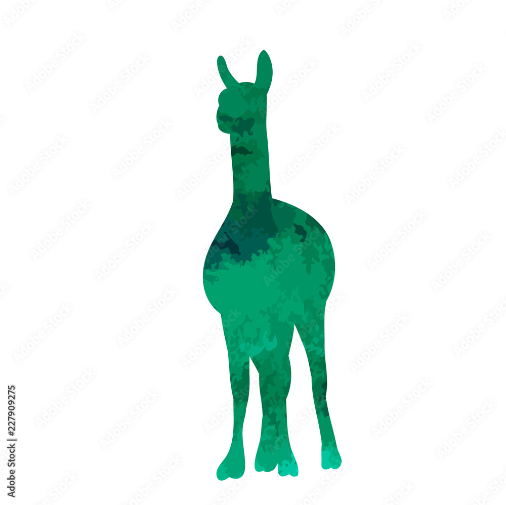 © Dzmitry - vector, isolated watercolor silhouette of llama