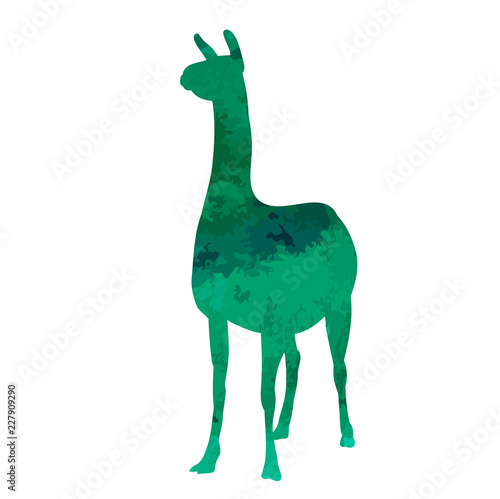 vector  isolated watercolor silhouette of llama