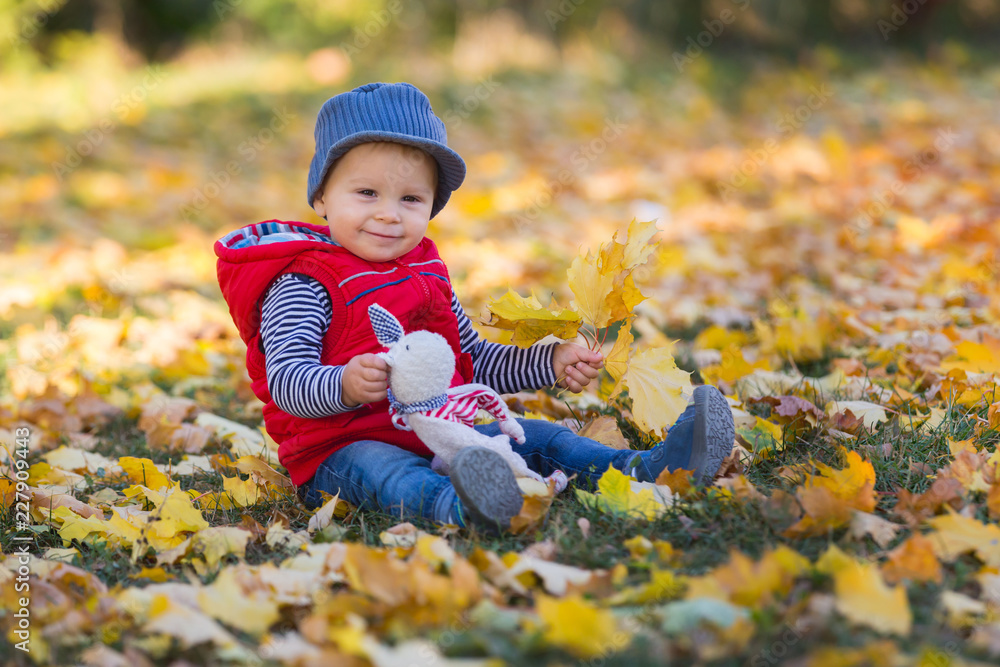 Happy little child, baby boy, laughing and playing in the autumn on the nature walk outdoors. Happy little child, baby boy, laughing and playing in the autumn on the nature walk outdoors.