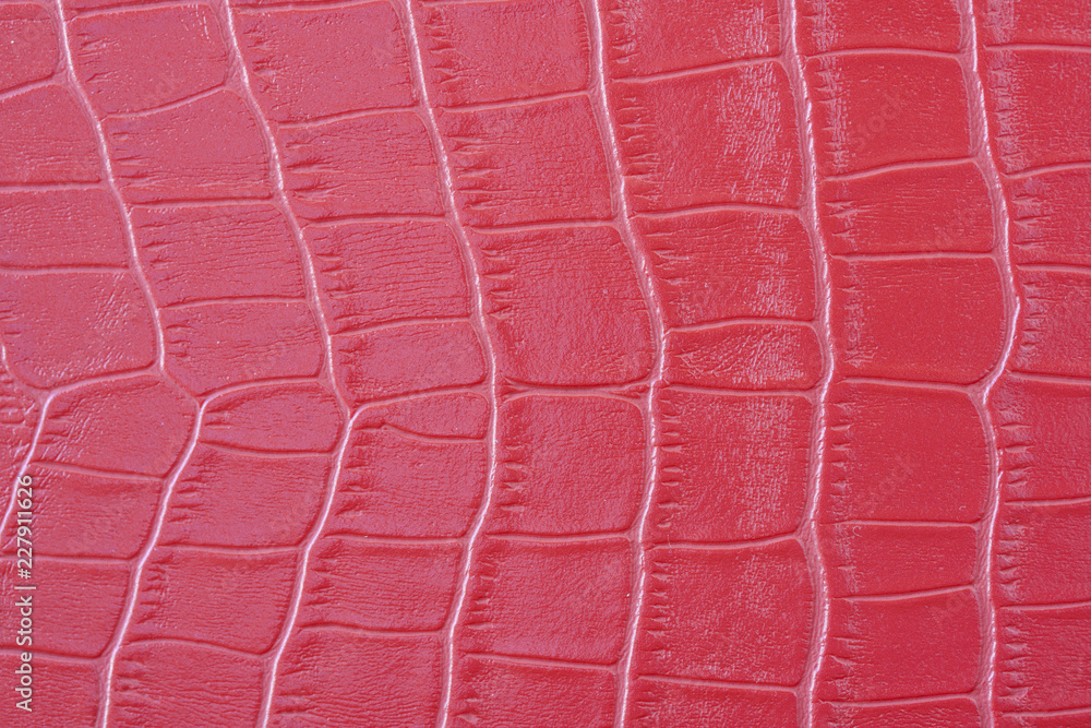 Fototapeta premium Crocodile Leather Texture
