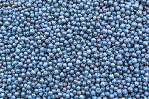 Ripe dark blue delicious berries blueberries, background, texture.