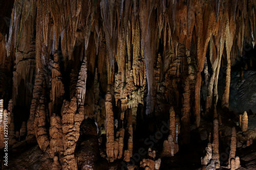 Cavern full of stalagmites and stalactites