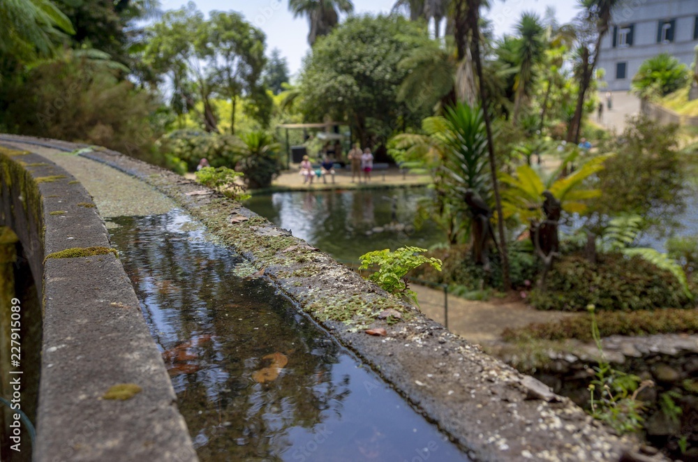 Tropical Park - pond