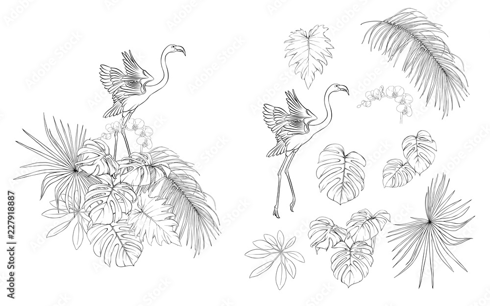 Set of elements for design with tropical plants Set of elements for design with tropical plants