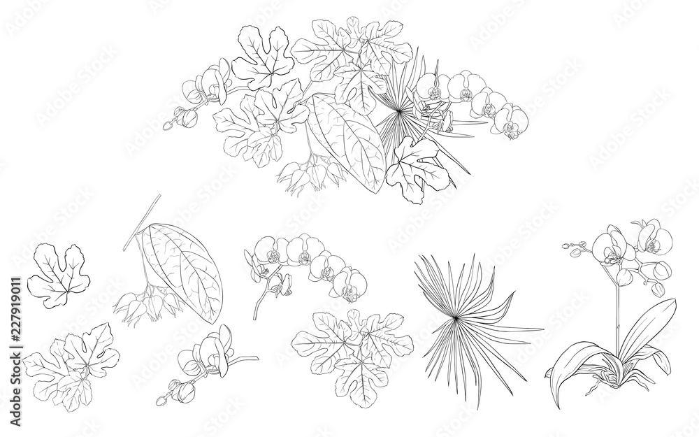 Set of elements for design with tropical plants Set of elements for design with tropical plants