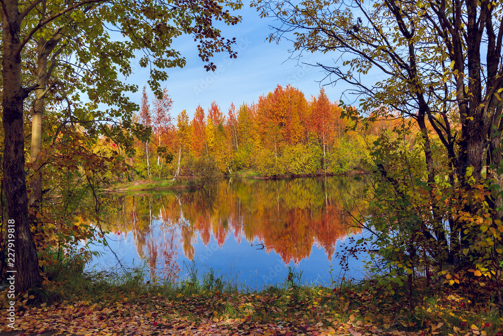 September landscape near the forest lake in the autumn day September landscape near the forest lake in the autumn day