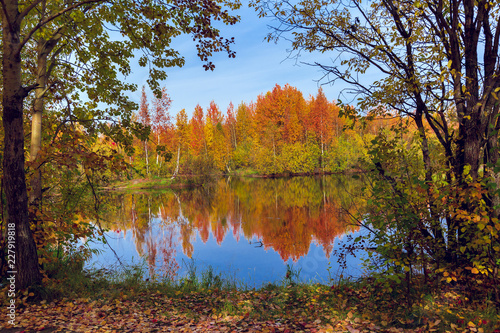 September landscape near the forest lake in the autumn day