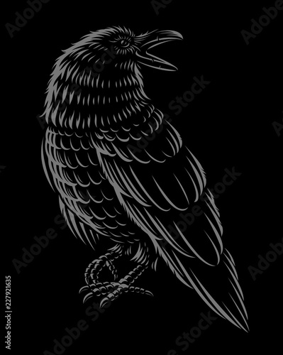 Black and white ilustration of raven.