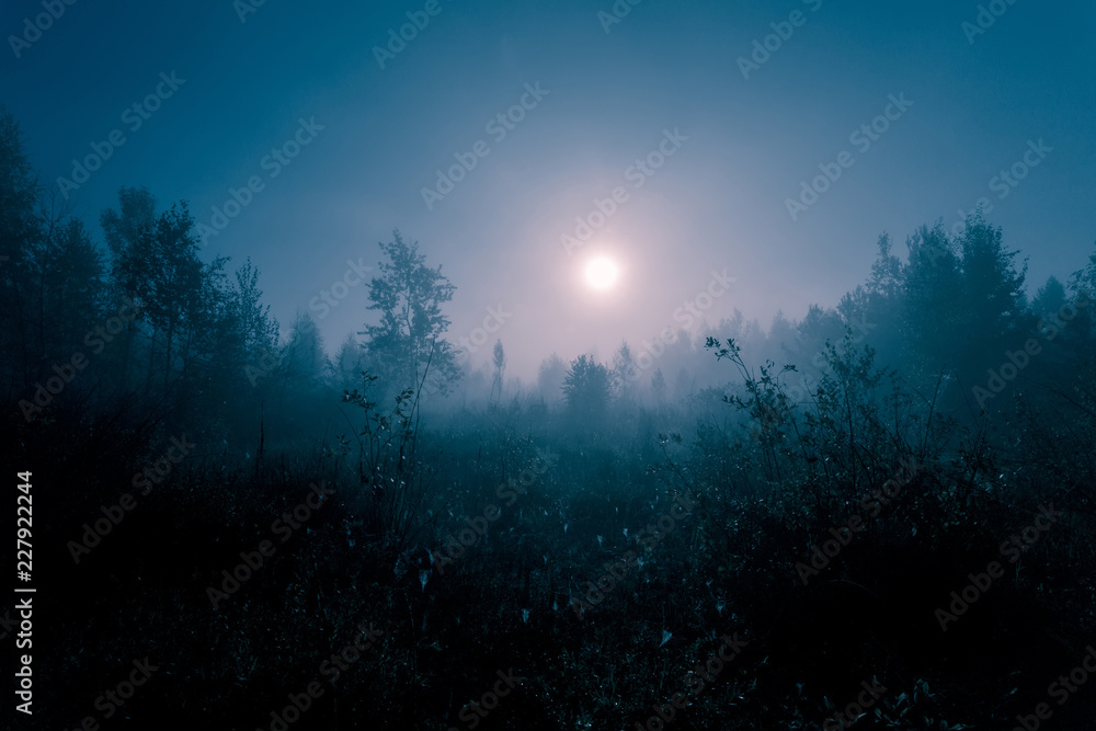 Night mysterious landscape in cold tones - silhouettes of the forest trees under the full moon and dramatic night sky.