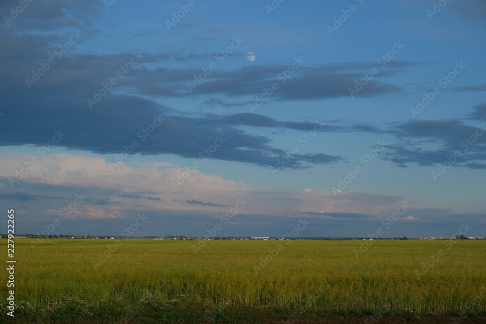 bright blue sky with moon over green field