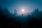 Night mysterious landscape in cold tones - silhouettes of the forest trees under the full moon and dramatic night sky.