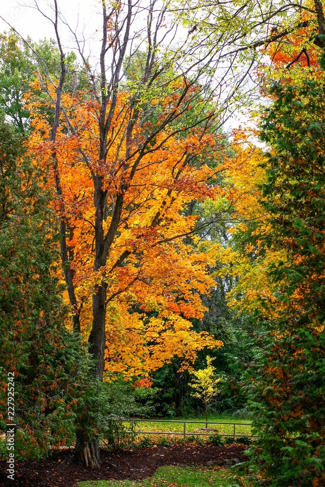 Elora Ontarion in the fall Elora Ontarion in the fall