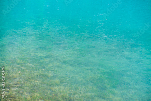 Shiny texture of azure surface of mountain lake. Background with reflection of green mountains trees in clear water in sunny day. Plants on bottom through transparent water. Copy space.