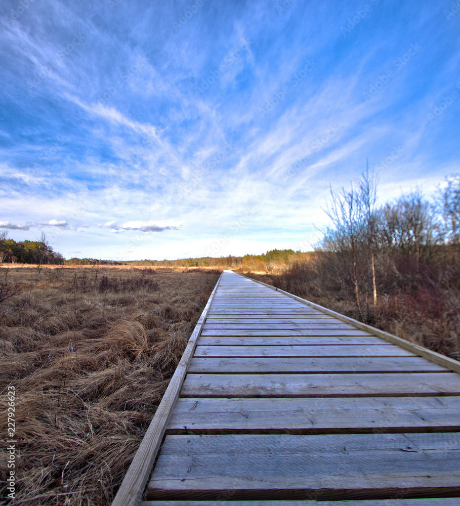 Obraz premium Wooden path at Store Mosse national park, Sweden