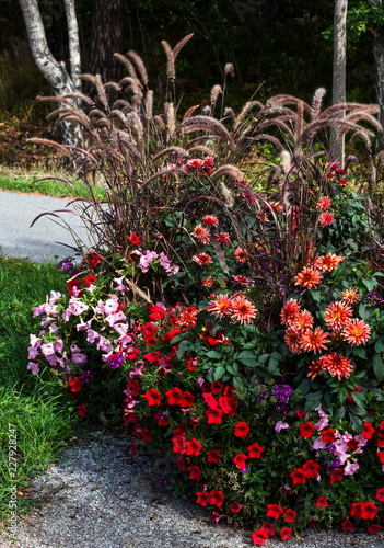 Flowers near the road