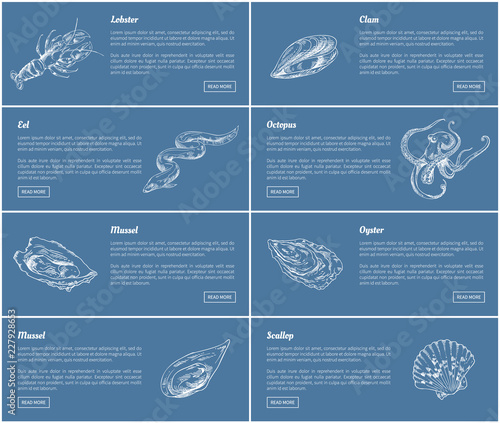 Scallop and Oyster Posters Set Vector Illustration