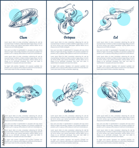 Lobster and Marine Dwellers Vector Illustration