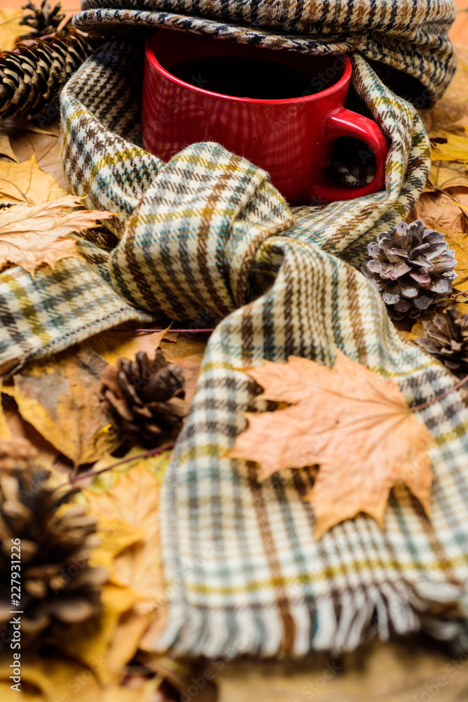 Hot drink for autumnal walk. Mug drink and checkered scarf and kepi. Mug of tea covered with hat and surrounded by scarf autumnal background with fallen maple leaves and fir cones. Warming beverage Hot drink for autumnal walk. Mug drink and checkered scarf and kepi. Mug of tea covered with hat and surrounded by scarf autumnal background with fallen maple leaves and fir cones. Warming beverage