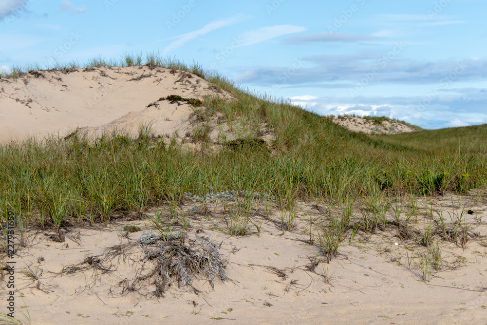beach scene with dunes, grasses, sky and clouds
