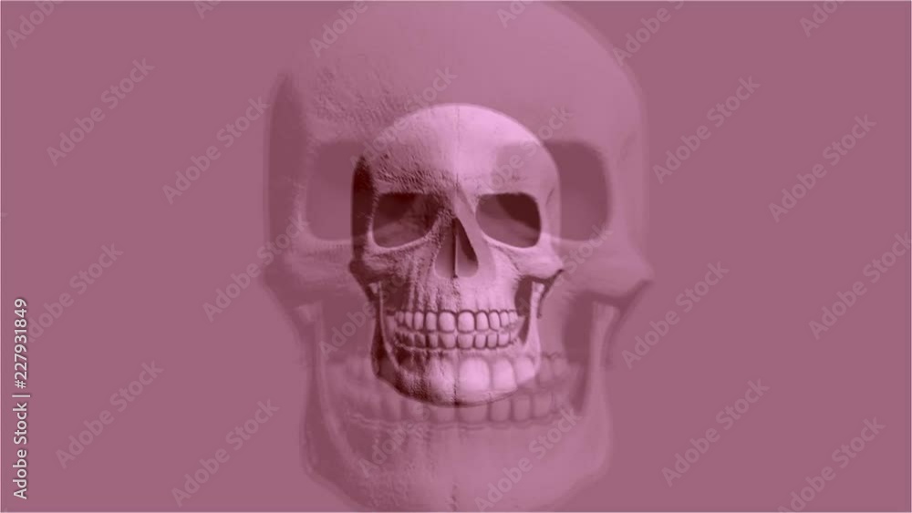 Abstract Background Halloween Flickering Scary Skull 1 Abstract Background Halloween Flickering Scary Skull 1