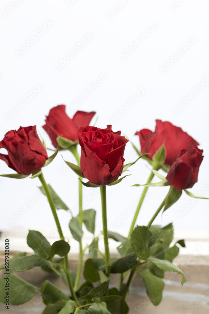 A bouquet of scarlet roses. Five flowers. On a white background A bouquet of scarlet roses. Five flowers. On a white background