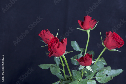 A bouquet of scarlet roses. Five flowers. On a black background