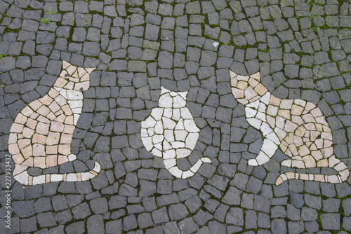 Canvas Print white  stone put together to cats creative sidewalk in Terceira,Portugal,