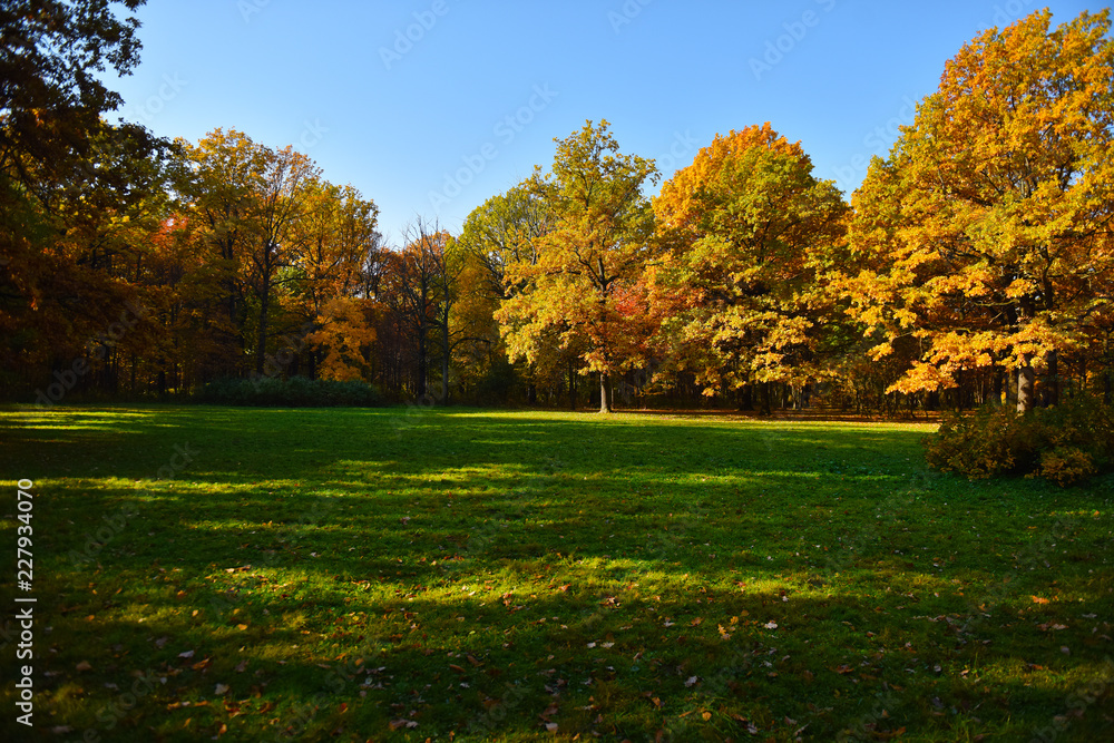 Naklejka premium autumn landscape leaf fall in the Park